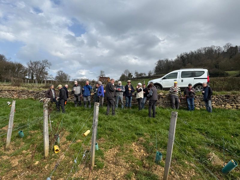 IMG-20260305-WA0006 IMG-20260305-WA0006