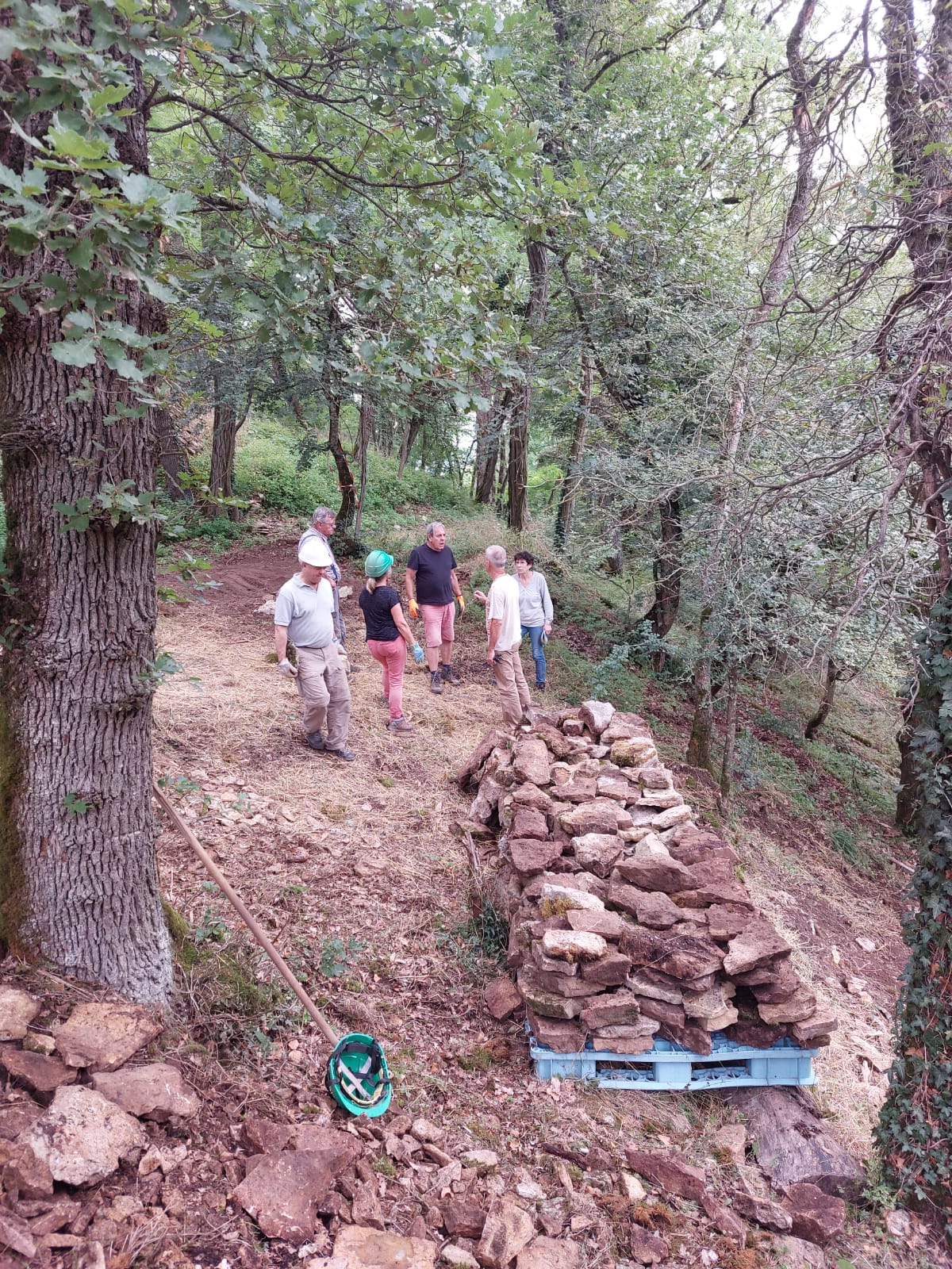 IMG-20230703-WA0004