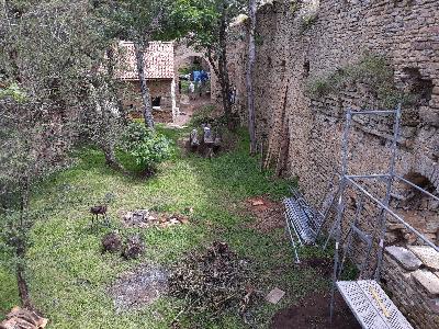 Automne 2019