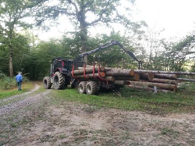 L'équipe et les chantiers