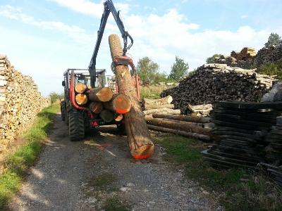L'équipe et les chantiers