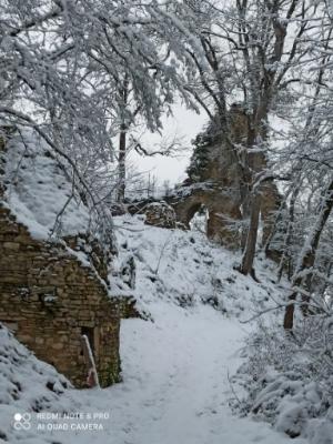 Hiver 2022