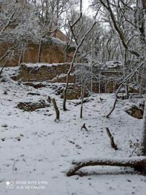 Hiver 2022