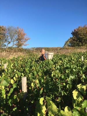 Juillet-Automne 2020