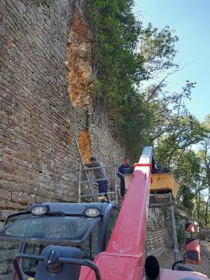 Juillet-Automne 2020