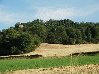La tour
