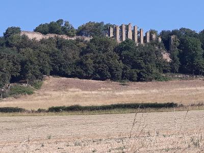 Le jeu de paume