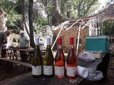 La vigne