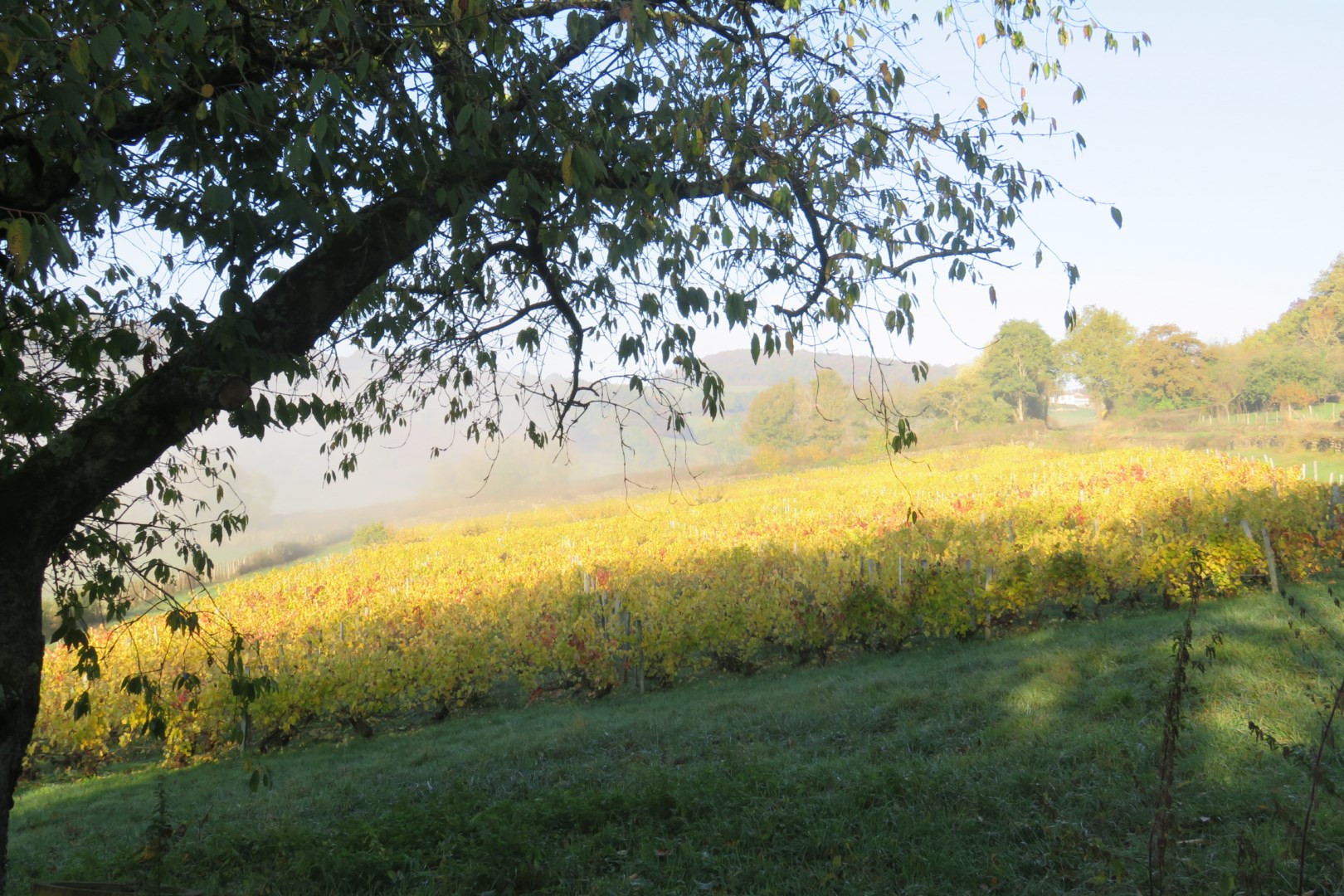 L'automne à Lourdon