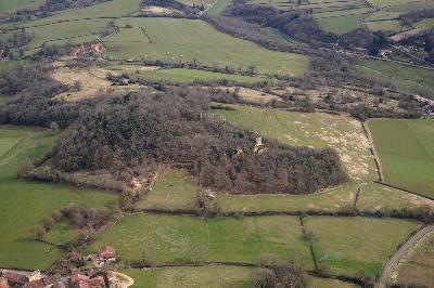 Le château, perdu dans la forêt