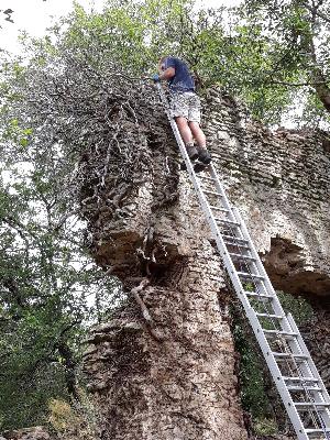 Projets 2019